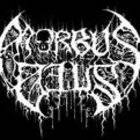 Morbus Deus : Everything and Nothing